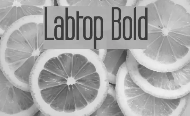 Labtop Bold Font examples