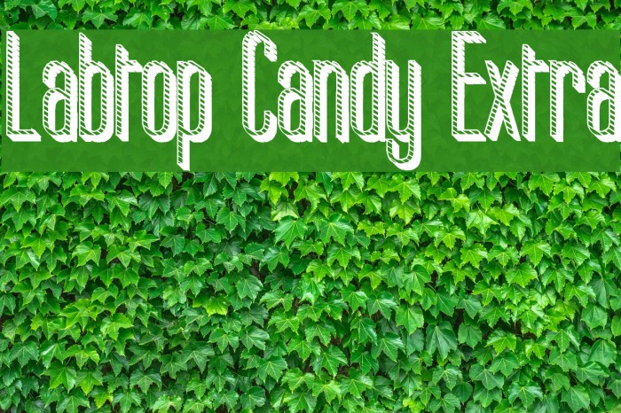 Labtop Candy Extra Font examples