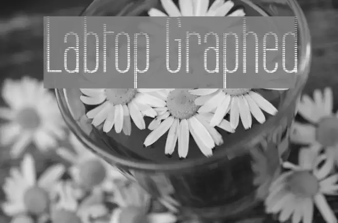Labtop Graphed Font examples