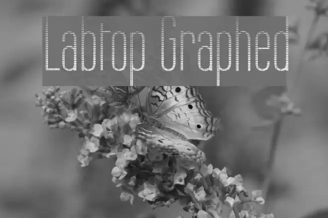 Labtop Graphed Font examples