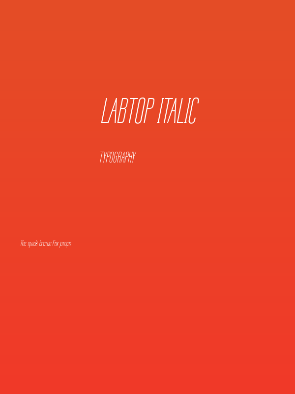 Labtop Italic Poster