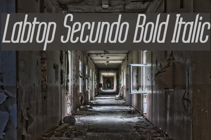 Labtop Secundo Bold Italic Font examples