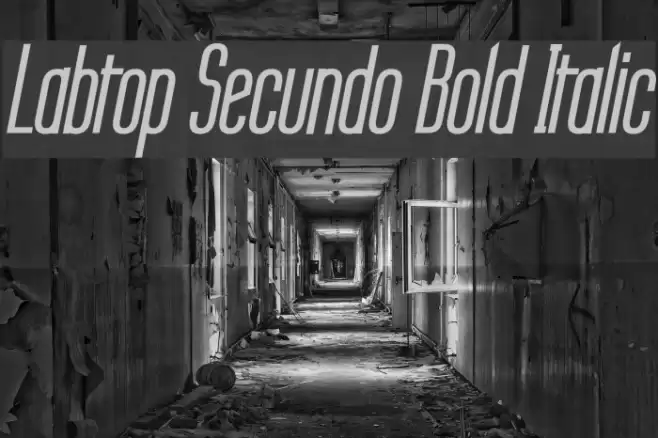 Labtop Secundo Bold Italic Schriftart examples