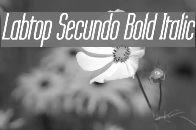 Labtop Secundo Bold Italic Schriftart examples