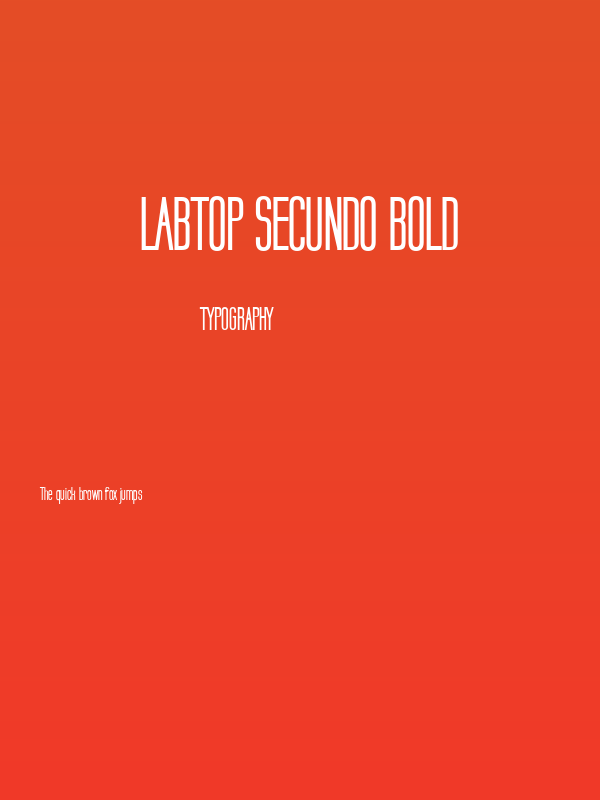 Labtop Secundo Bold Poster