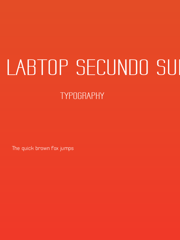 Labtop Secundo Superwide Poster