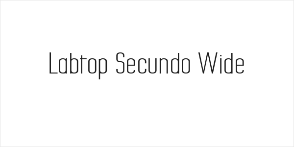 Labtop Secundo Wide Logo