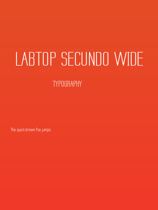 Labtop Secundo Wide Poster