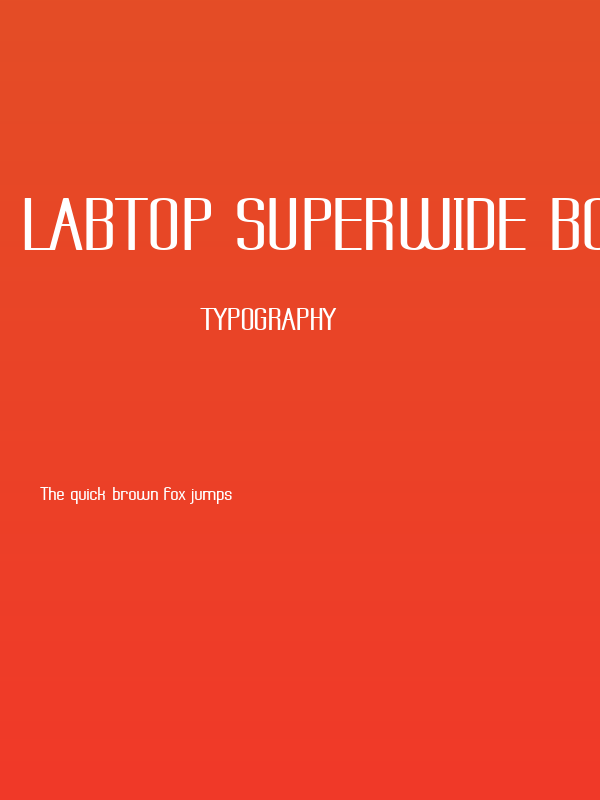 Labtop Superwide Boldish Poster