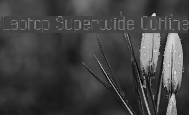 Labtop Superwide Outline Schriftart examples