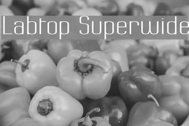 Labtop Superwide フォント examples
