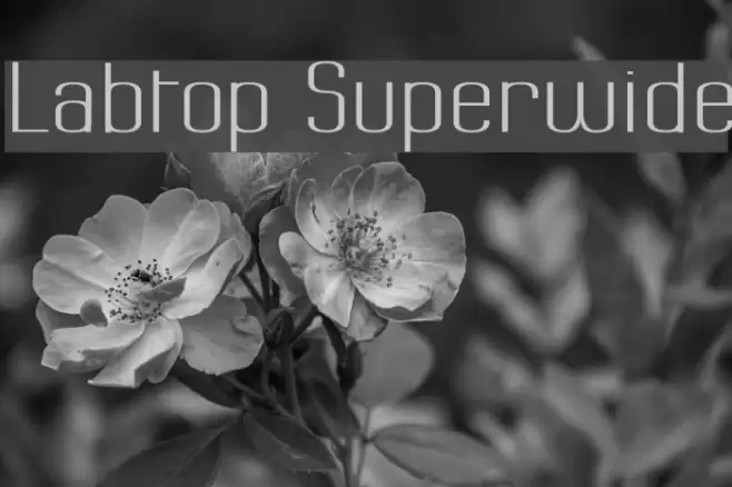 Labtop Superwide フォント examples