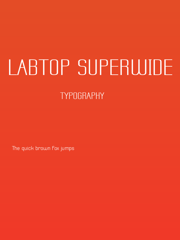 Labtop Superwide Poster