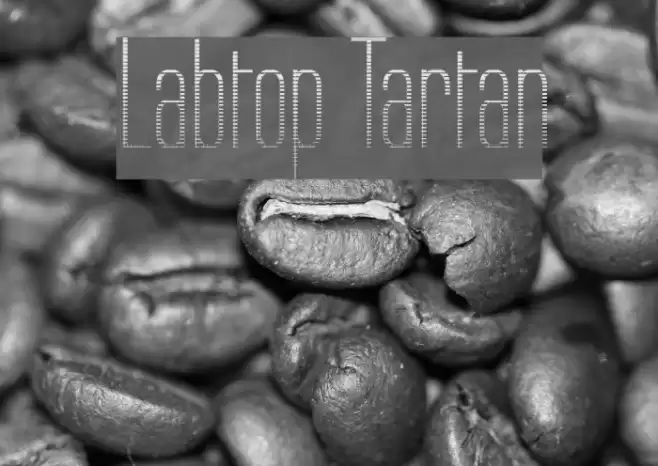 Labtop Tartan Font examples