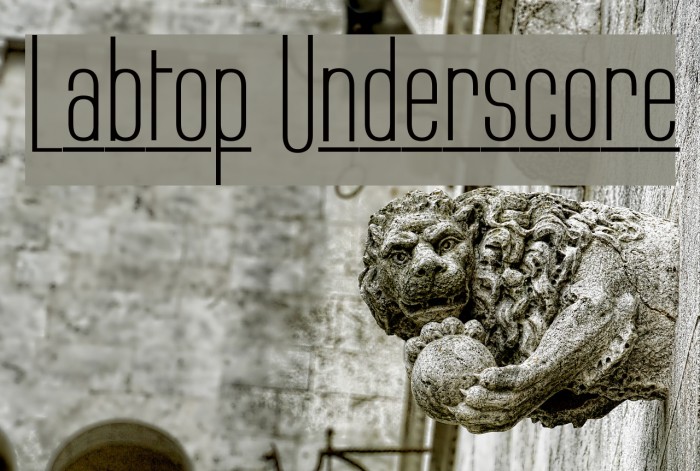 Labtop Underscore Font examples