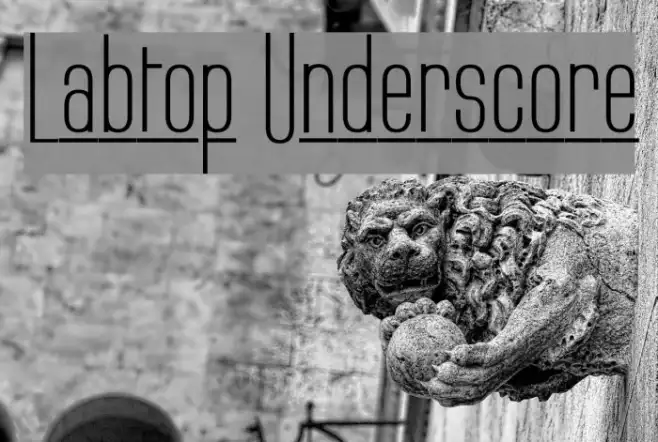 Labtop Underscore Example 1