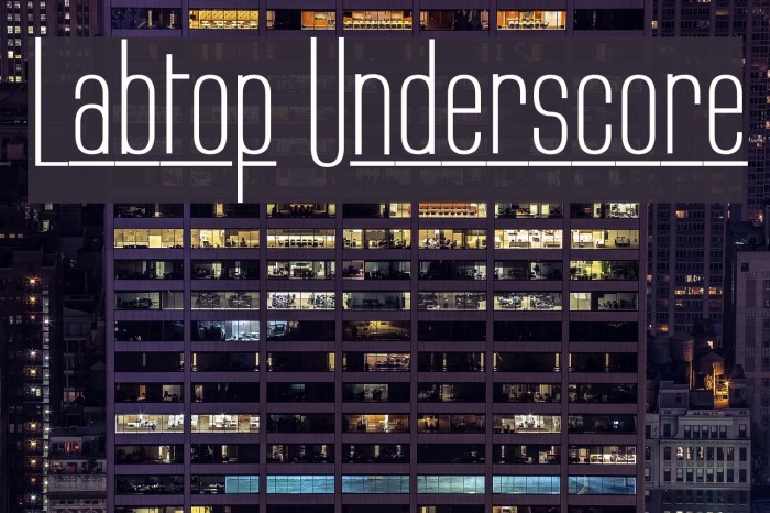 Labtop Underscore Font examples