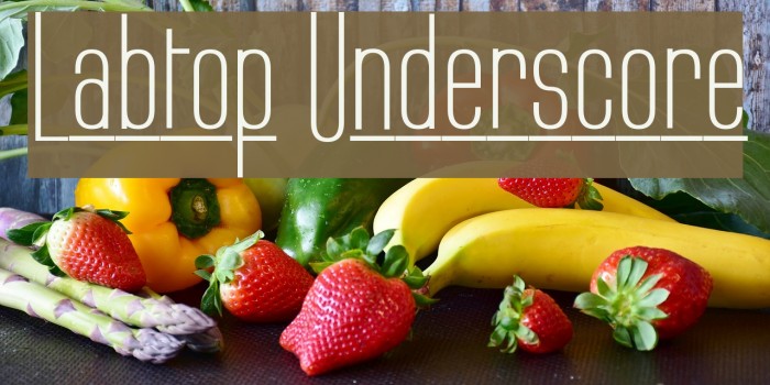 Labtop Underscore Font examples