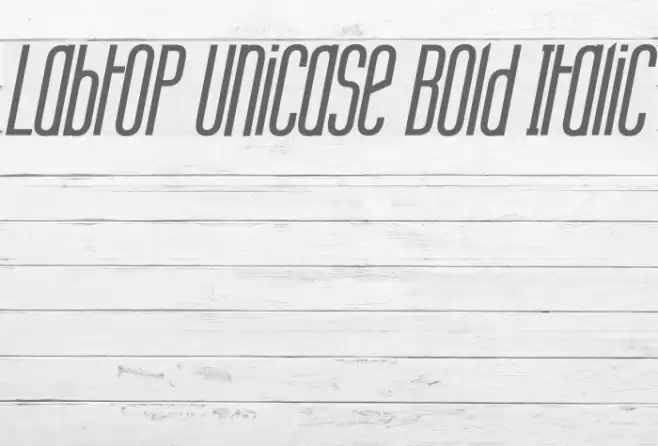 Labtop Unicase Bold Italic Font examples
