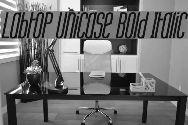 Labtop Unicase Bold Italic Font examples