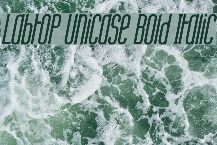 Labtop Unicase Bold Italic Font examples