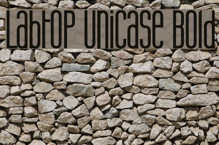 Labtop Unicase Bold Font examples