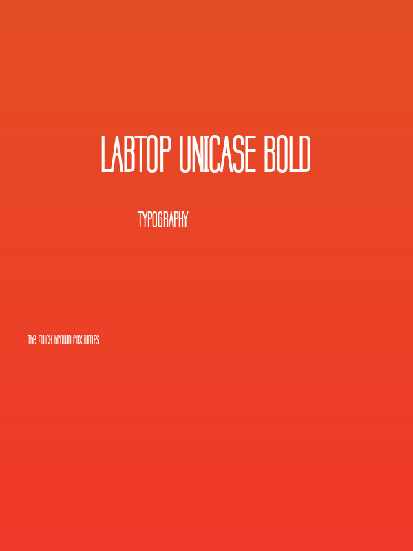 Labtop Unicase Bold Poster