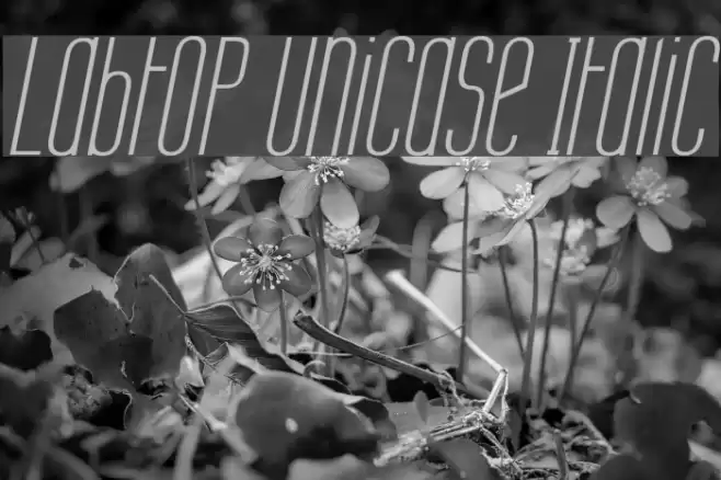 Labtop Unicase Italic Font examples