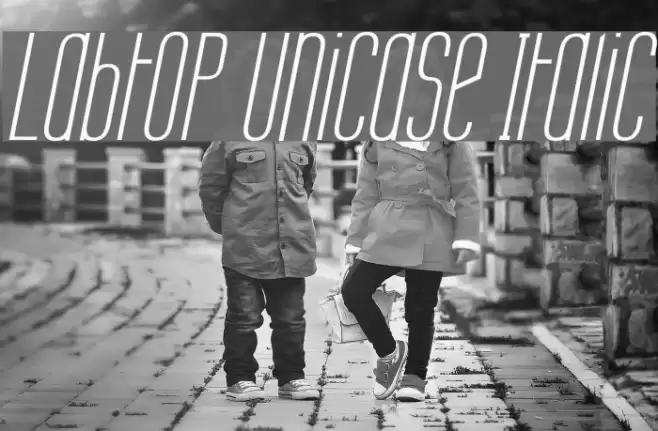 Labtop Unicase Italic Font examples