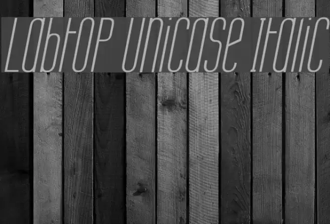 Labtop Unicase Italic Font examples