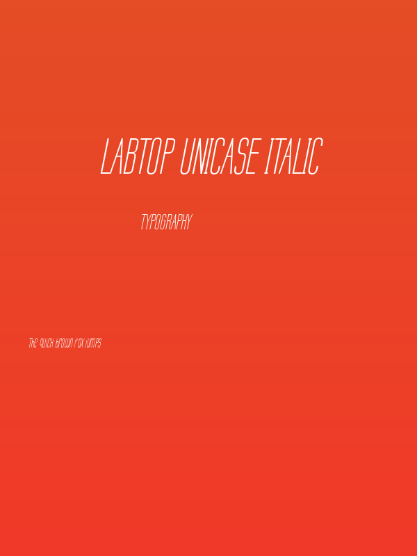 Labtop Unicase Italic Poster