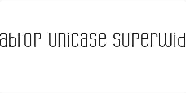 Labtop Unicase Superwide Logo