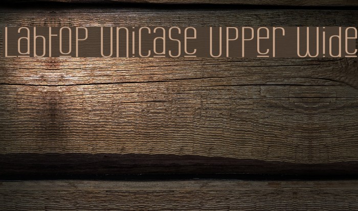 Labtop Unicase Upper Wide Font examples