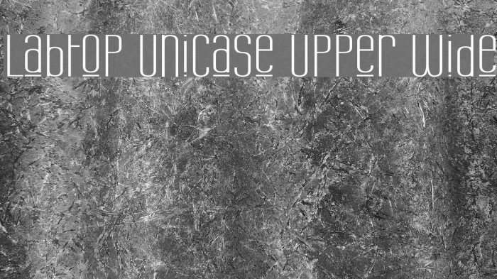 Labtop Unicase Upper Wide Font examples