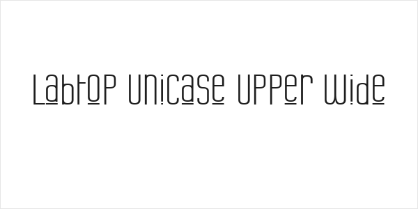 Labtop Unicase Upper Wide Logo