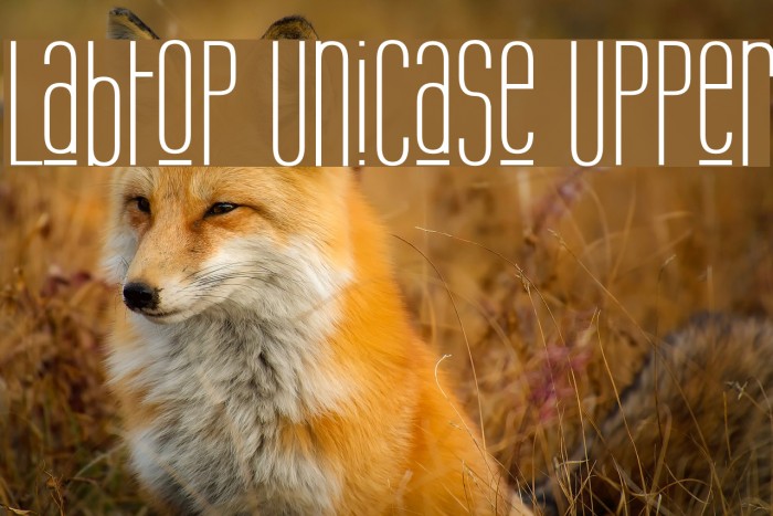 Labtop Unicase Upper Шрифта examples