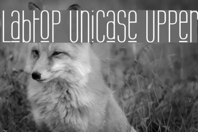 Labtop Unicase Upper Polices examples