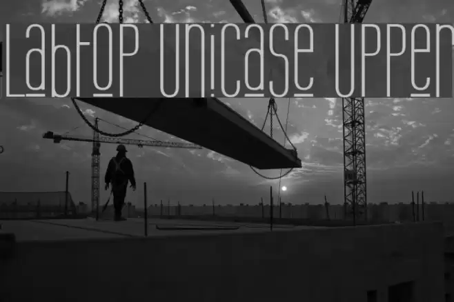 Labtop Unicase Upper Polices examples