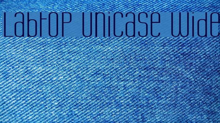 Labtop Unicase Wide Font examples