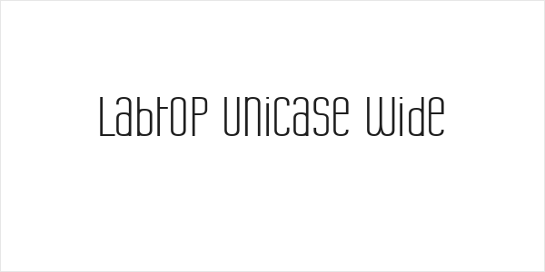 Labtop Unicase Wide Logo