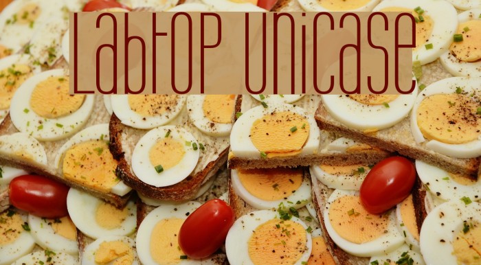 Labtop Unicase Caratteri examples
