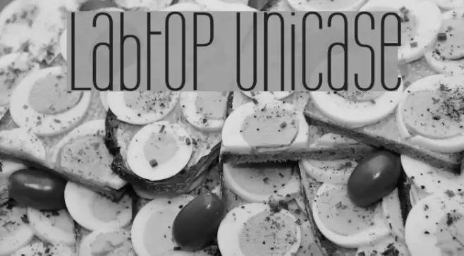 Labtop Unicase Caratteri examples