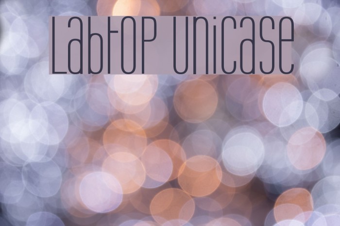 Labtop Unicase Caratteri examples
