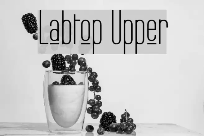 Labtop Upper Font examples