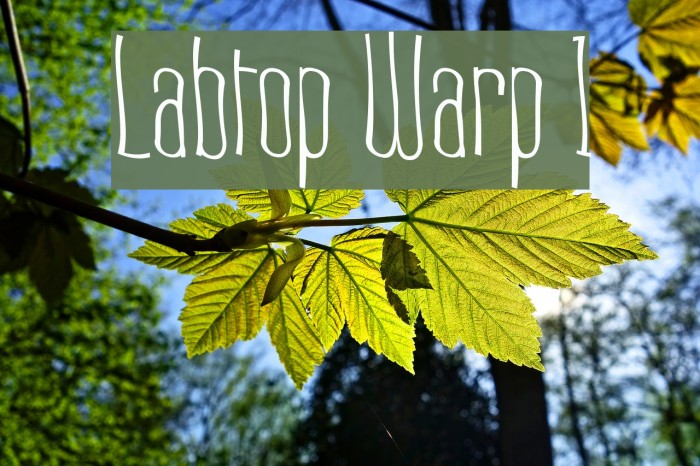 Labtop Warp 1 Font examples