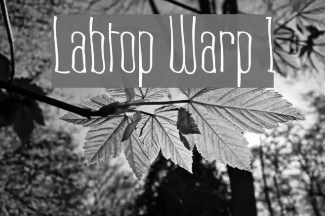 Labtop Warp 1 Polices examples