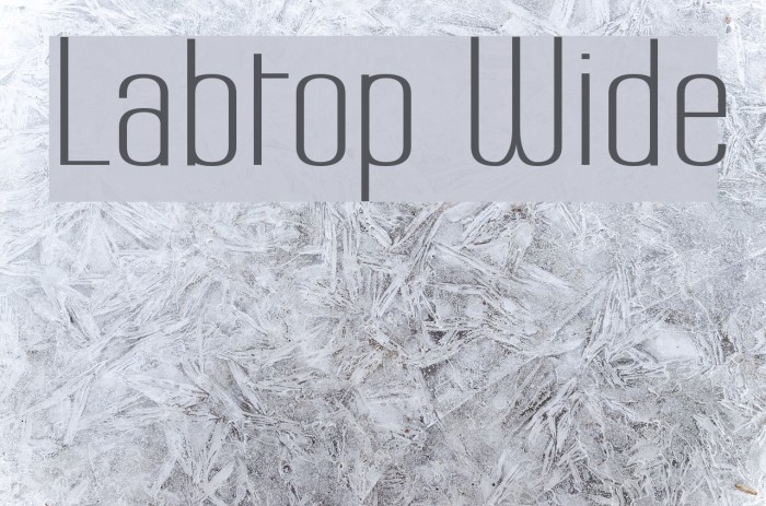 Labtop Wide Font examples