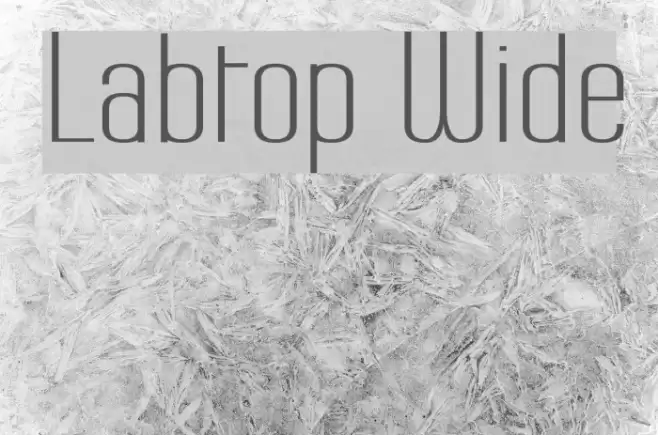 Labtop Wide Fuentes examples