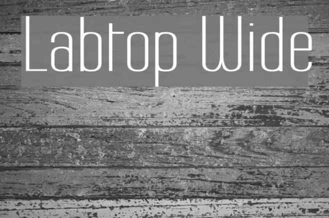 Labtop Wide Fuentes examples