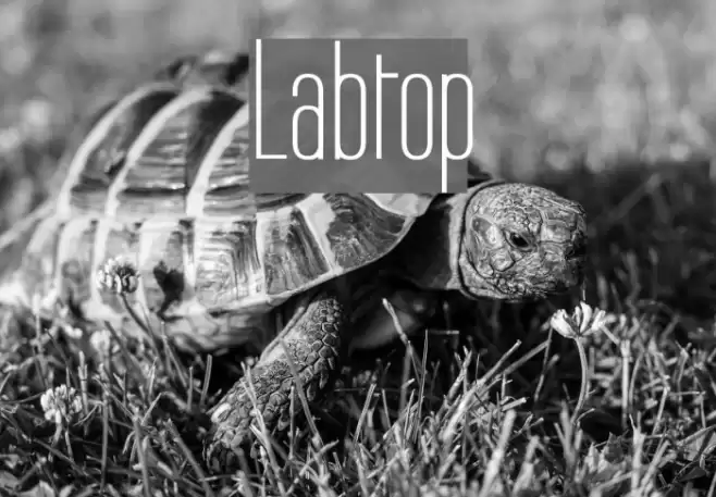 Labtop Font examples